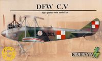 DFW C.V Polish AF