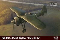 PZL P.11c Polish Fighter Rare Birds